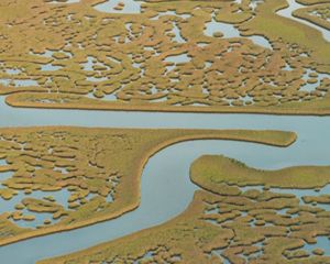 ciudad de méxico, ciudad, fondo de agua, agua