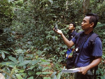 Dos investigadores usan GPS para marcar la ubicación de nidos de orangutan.