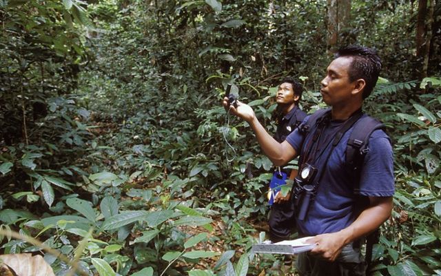Dos personas en uniforme utilizan herramientas de monitoreo de bosque.