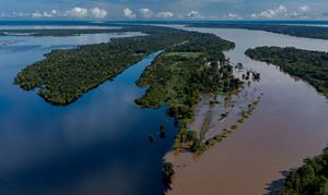 Vista aérea de um rio sinuoso cercado por vegetação exuberante e águas que refletem a luz sob um céu azul claro e sem nuvens.