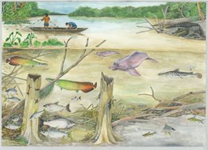  Dos personas pescan en un bote sobre un diverso paisaje submarino. Más abajo, peces de colores, un delfín rosado y ramas sumergidas ilustran un rico ecosistema acuático.