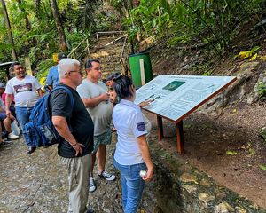 grupo de personas mirando un tablero en medio de la naturaleza.