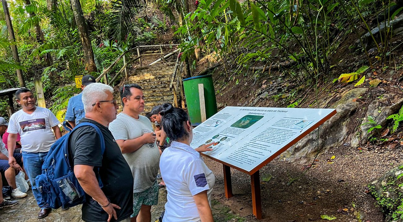 Participantes del intercambio escuchan la explicación de un recorrido turístico.