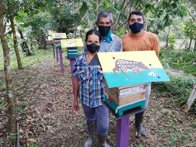 Graciela y su familia con sus cajas de meliponas