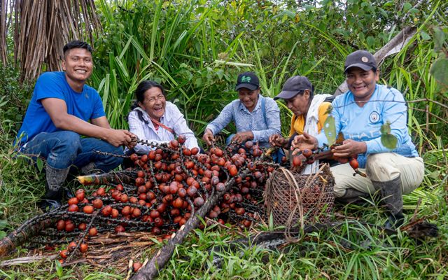 Cinco pessoas posando ao redor de cachos de frutas.