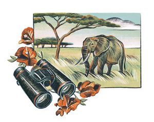  Ilustración a color de un elefante en la sabana con binoculares y flores rojas en primer plano.