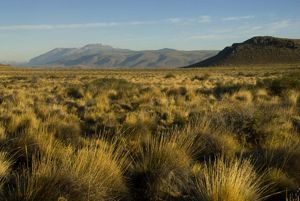 Fotografía de la Estepa patagónica.