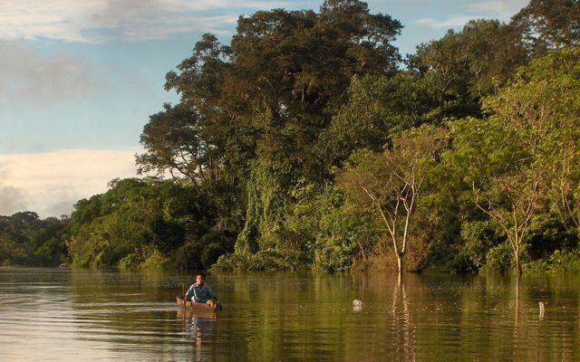 a person in canoe in a calm, tree-lined river in the Amazon.