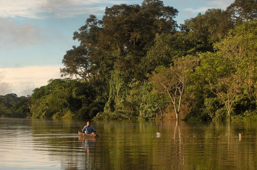 a person in canoe in a calm, tree-lined river in the Amazon.