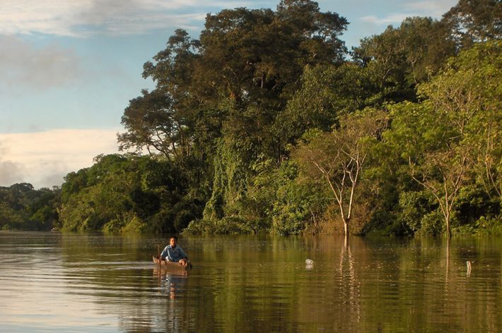 A person floats in a canoe in a calm, tree-lined river in the Amazon.
