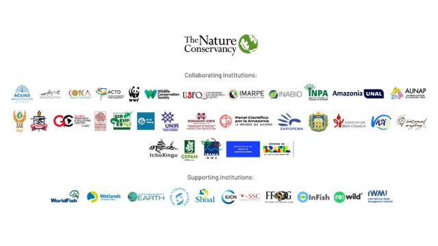 Logos de las instituciones que fueron parte del informe.
