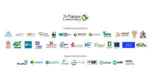 Logos de las instituciones que fueron parte del informe.