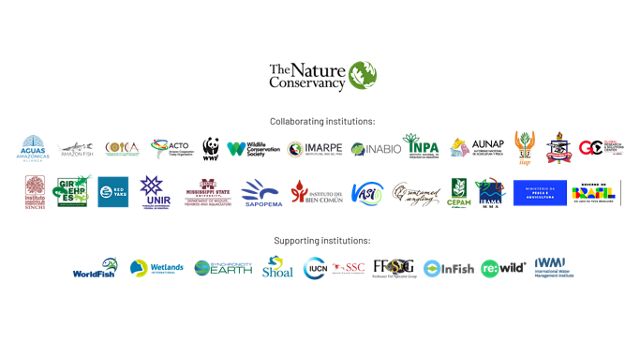 Logos de las instituciones que fueron parte del informe.