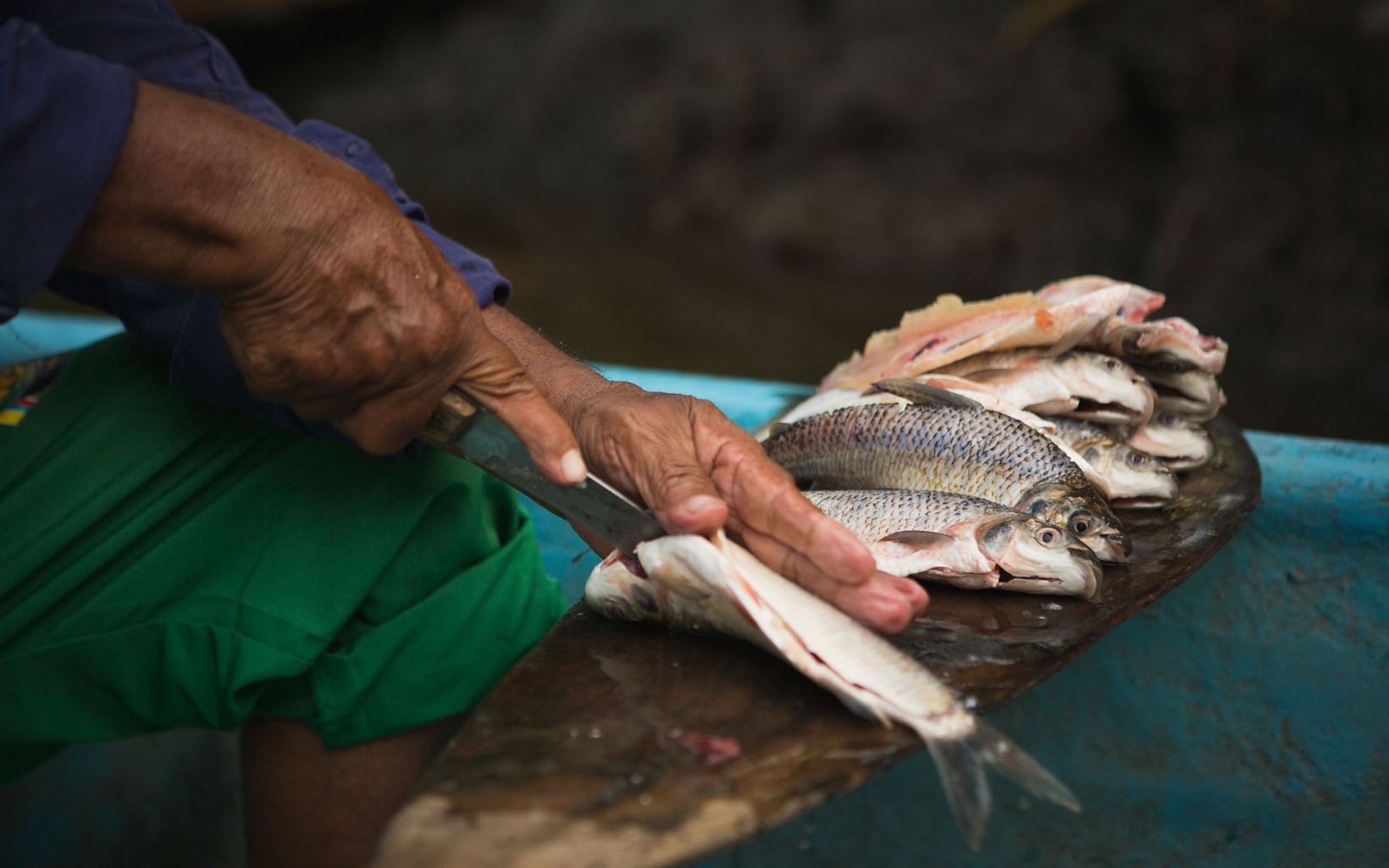Un pescador prepara pescado fresco en Bocas de Barbacoas, la desembocadura de la cuenca del río Magdalena en Antioquia, Colombia. 
