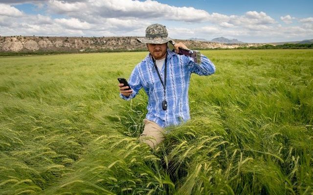 Un hombre camina sobre la naturaleza con su celular.