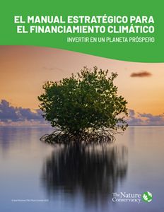 Portada del manual estratégico para el financiamiento climático.