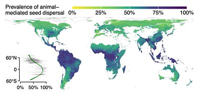 Grafico con un Mapa de diferentes colores verdes y azules.