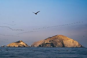 Humboldt Current runs across the coast of Chile, Perú and Ecuador.