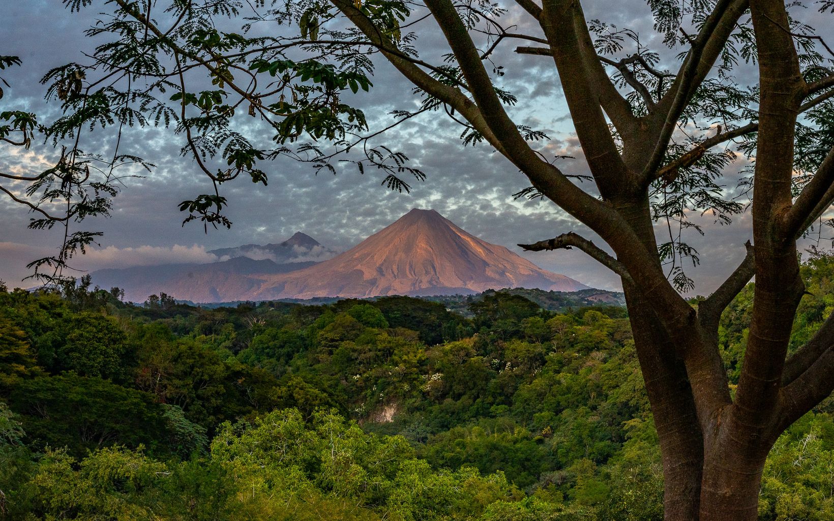 Colima Enero 2019