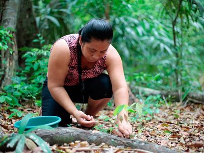 Trabajo con comunidades de la Selva Maya en Petén, Guatemala.