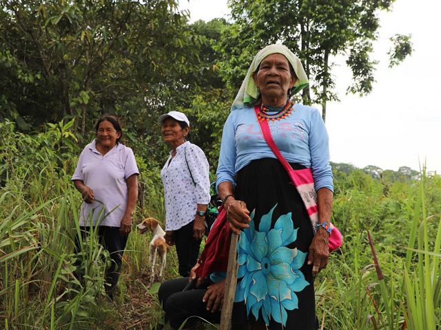 Un grupo de mujeres Huitoto y Koreguaje demuestran el funcionamiento de la Chagra en El Quince