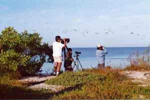 Grupo de personas en la costa, con grandes catalejos sobre trípodes, realizando observación de aves, foto antigua de archivo. 