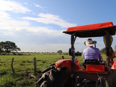 representa actualmente el 20% de la oferta de productos agrícolas y del hato ganadero.