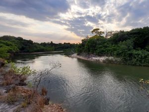 La Orinoquía colombiana cuenta con un nuevo Núcleo de Reservas Naturales de la Sociedad Civil