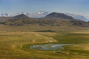 Un vasto campo abierto se extiende bajo un cielo azul despejado, con hierba verde y algunas flores silvestres dispersas.