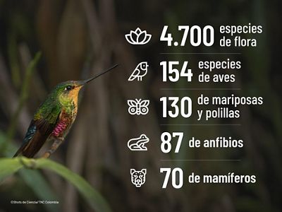 y su biodiversidad crucial en cifras