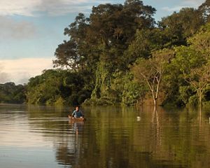 Un niño navega en un río del Amazonas