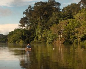 Un niño navega en un río del Amazonas