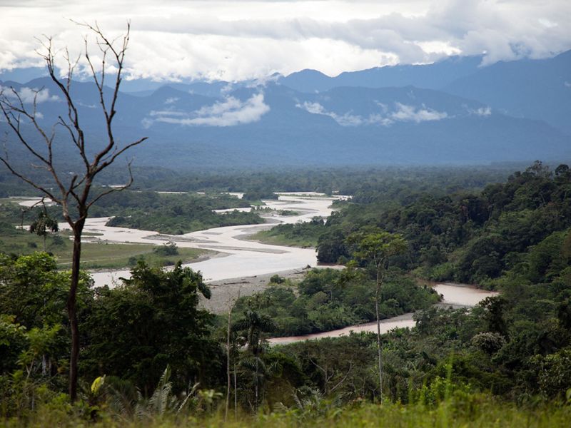 Amazonia