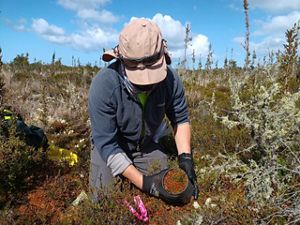 Una persona, con gorro y guantes, examina la tierra y la vegetación en un campo bajo un cielo azul brillante.
