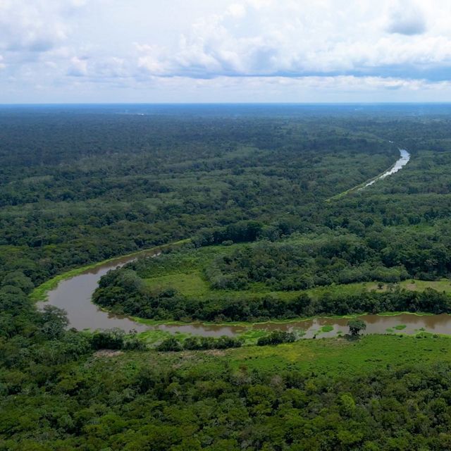 Investigación para el desarrollo sostenible de la amazonía