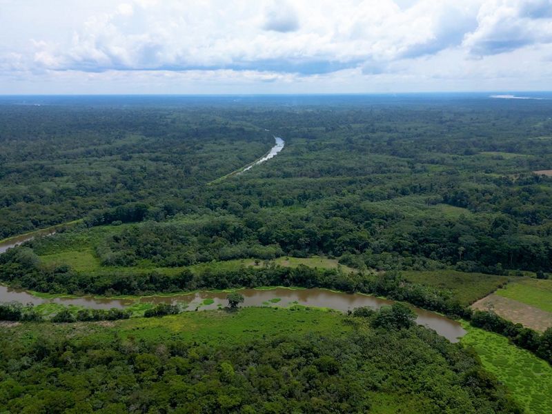 Amazonia