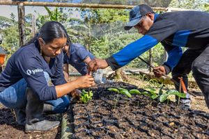 Dos personas, una con camisa azul y vaqueros, y otra con camisa negra y azul, plantan plantones en un jardín.
