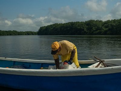 Hombre recolecta camarón en Puerto el Morro, Guayas, Ecuador.