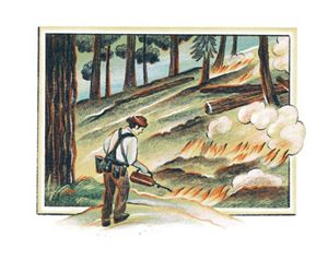 Ilustración a color de un fuego controlado con una persona sosteniendo una antorcha de goteo. Al fondo se aprecian pequeños incendios en un bosque.