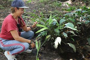 A partir de la recuperación