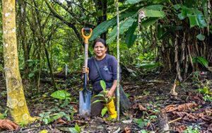 Una mujer se arrodilla en un frondoso y verde bosque, sosteniendo una planta joven y una pala.