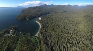 Vista panorámica de bosques costeros.