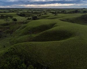 Aerial view of flooded forestin the ManacacíasRiver watershed, Colombia.