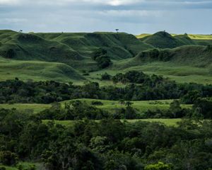 green grassy hills interspersed with trees.