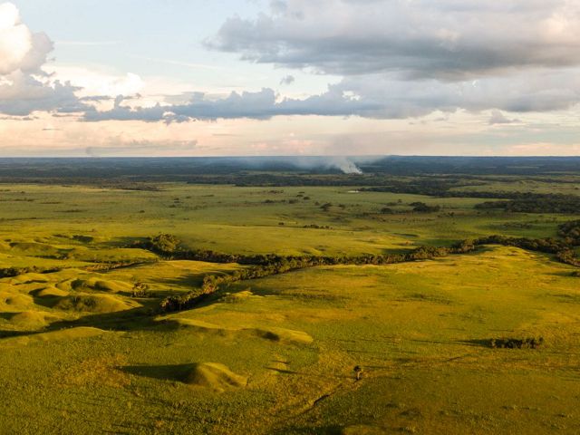 Smoke billowing in the distance on a grassland.