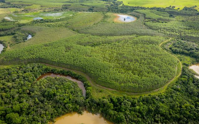 A moasic of cropland, open savanna, wetland and forest landscapes.