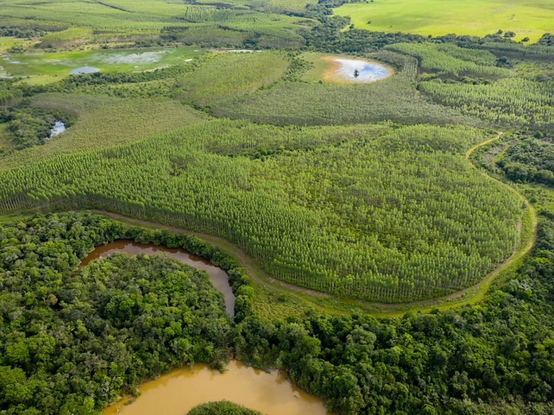 A moasic of cropland, open savanna, wetland and forest landscapes.