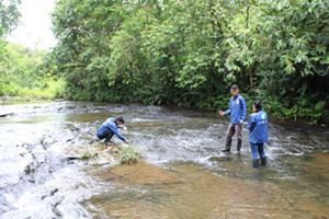Tres personas con abrigos y botas azules se encuentran en un río poco profundo y fluido.