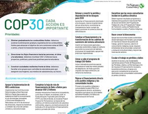 Infografía con objetivos TNC en COP30. 