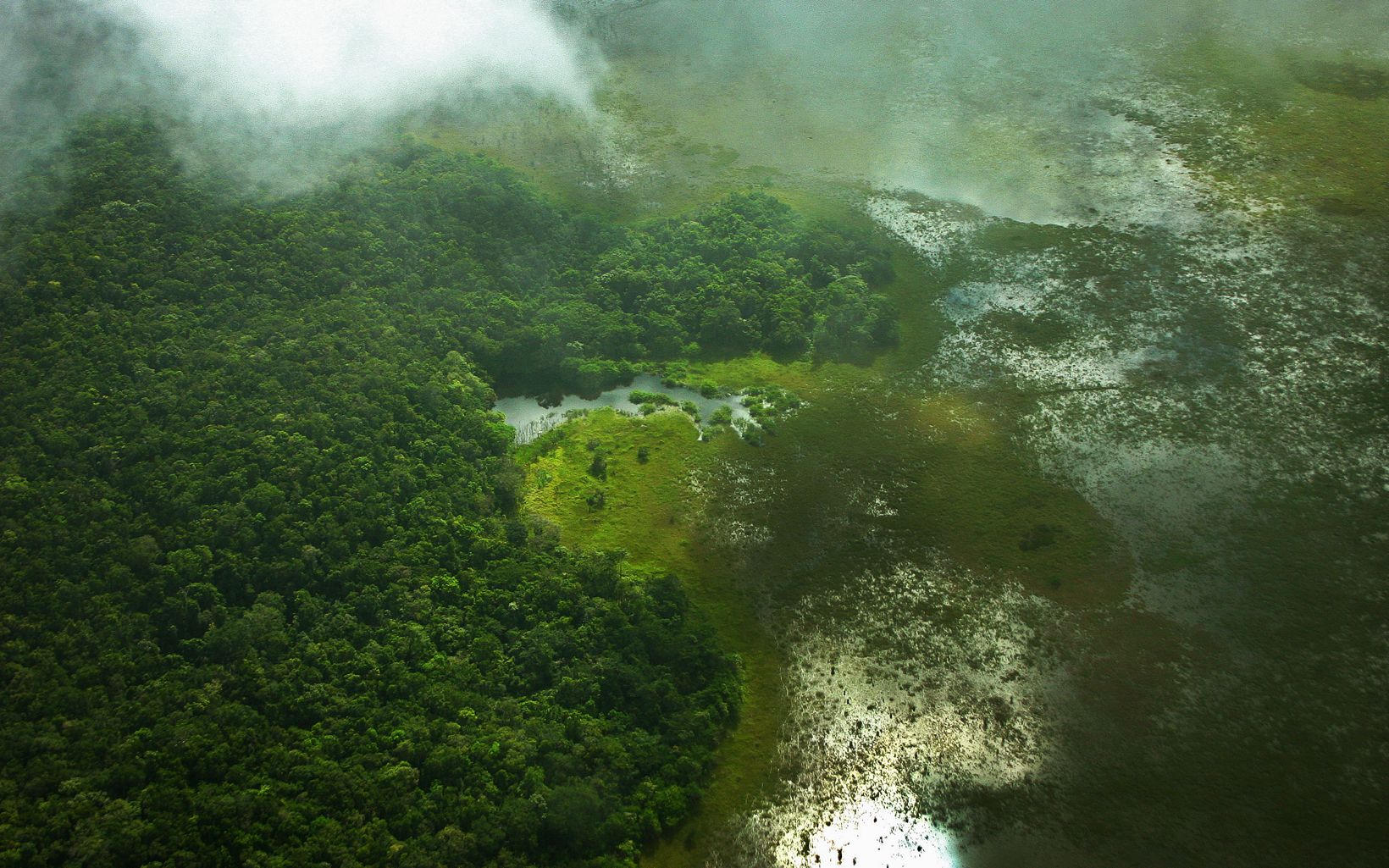 Selva Maya en México Vista aérea de los bosques y humedales del área del Selva Maya al norte de la frontera México-Guatemala, que cubre casi el 15% del estado de Campeche.
 © Lynn McBride/TNC